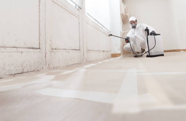 24/7 Emergency Mold Remediation experts in Inverness Highlands South, FL